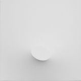 Un ovale bianco by Turi Simeti contemporary artwork painting