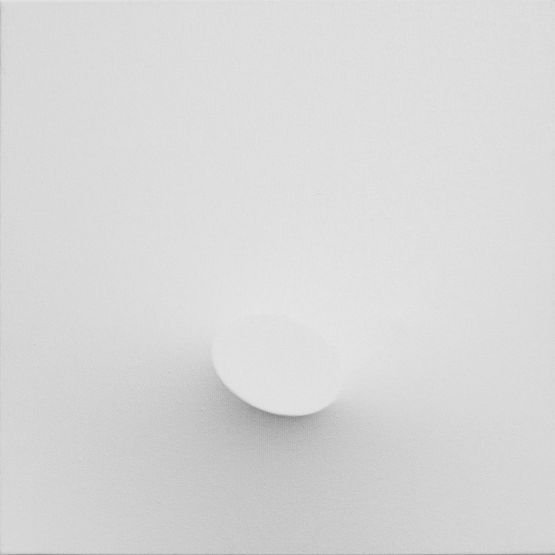 Un ovale bianco by Turi Simeti contemporary artwork Painting
