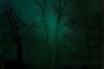 Nicholas Hughes contemporary artist