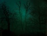 In Darkness Visible no. 14 Verse I by Nicholas Hughes contemporary artwork photography