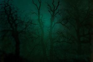 Nicholas Hughes