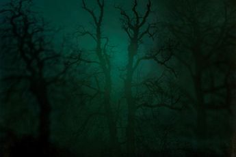 Nicholas Hughes contemporary artist