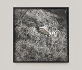Climbing the Mountain-3 by Wu Wei contemporary artwork works on paper