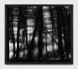 Untitled Gerhards Forest by Robert Longo contemporary artwork Drawing