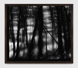 Untitled Gerhards Forest by Robert Longo contemporary artwork drawing