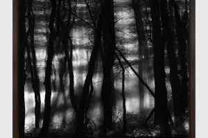 Robert Longo