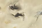 Richard Lin contemporary artist