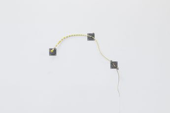 Gray Wielebinski contemporary artist