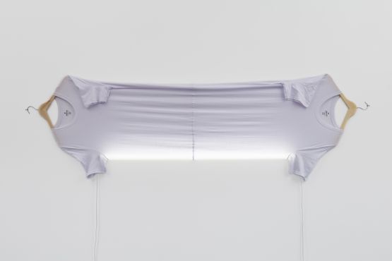 Gemeas by Rodrigo Cardoso contemporary artwork Sculpture