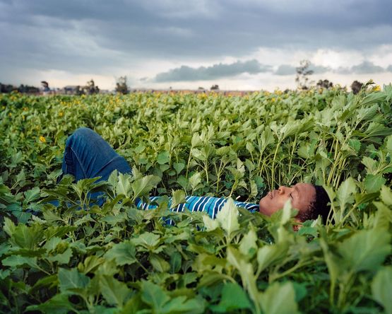 Sanele resting in field by Lindokuhle Sobekwa contemporary artwork Print
