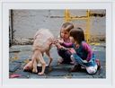 The New Friend by Patricia Piccinini contemporary artwork Photography
