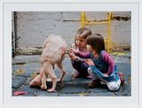 The New Friend by Patricia Piccinini contemporary artwork photography