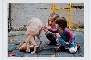 Patricia Piccinini