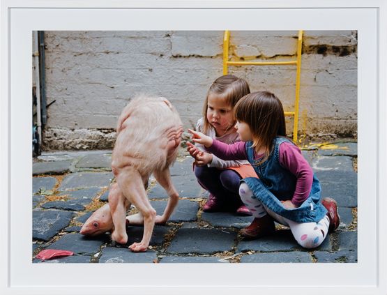 The New Friend by Patricia Piccinini contemporary artwork Photography