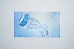 Kaleido Jellyfish by Ryotaro Muramatsu contemporary artwork Sculpture