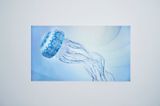 Kaleido Jellyfish by Ryotaro Muramatsu contemporary artwork installation moving image sculpture