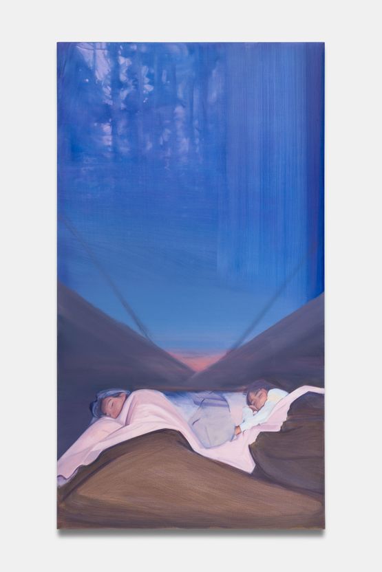 Frazadas de lana Heavy Woolen Blankets by Christiane Pooley contemporary artwork Painting