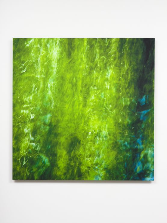 My Titirangi Years - subliminal activity by Elizabeth Thomson contemporary artwork Painting