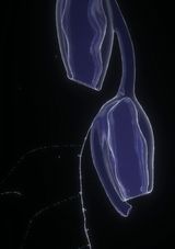 Vertical Migration by Superflex contemporary artwork installation moving image