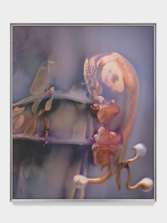 LKnLRHRn by Anicka Yi contemporary artwork Painting