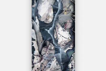Wonhae Hwang contemporary artist
