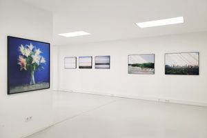 Michael Wesely