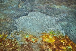 Edward Burtynsky