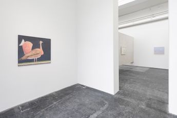 Contemporary art exhibition Sorin Campan Sorin Campan at Galeria Plan B Berlin Germany