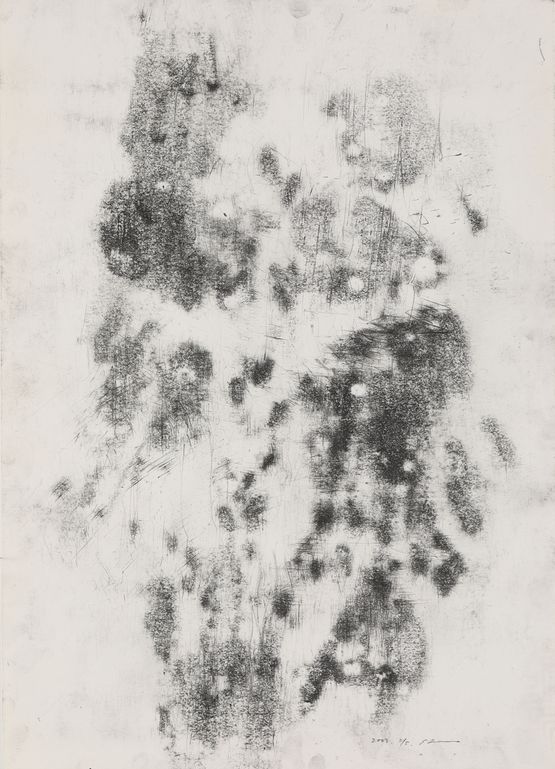 DRAWING 030205-1 by Choi Sang Chul contemporary artwork Works on Paper