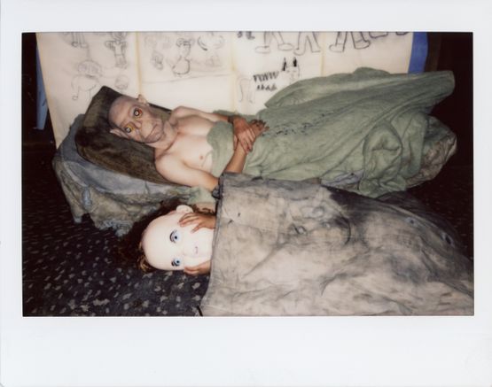 Untitled Polaroid043-1 by Roger Ballen contemporary artwork Photography