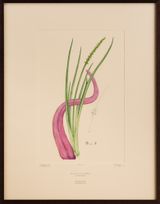 Untitled 335 by Caroline Rothwell contemporary artwork mixed media print