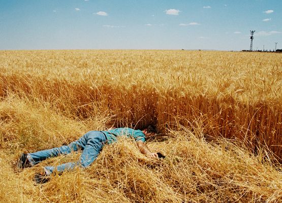 Still Life by Cengiz Tekin contemporary artwork Photography