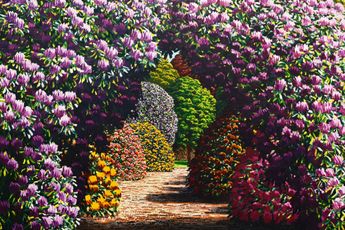Karl Maughan contemporary artist