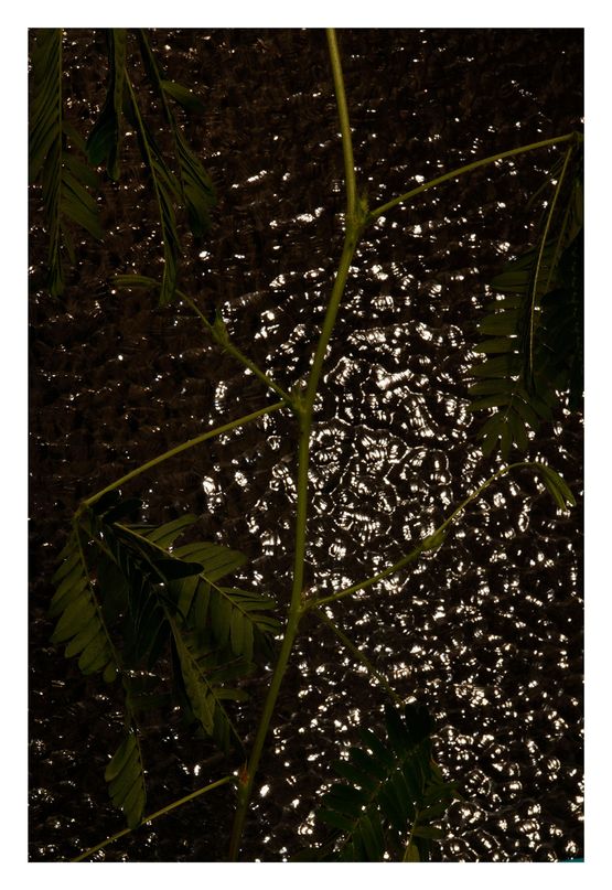 ohne titel  no title by Peter Piller contemporary artwork Print