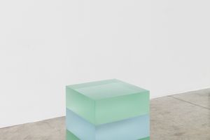 Ann Veronica Janssens