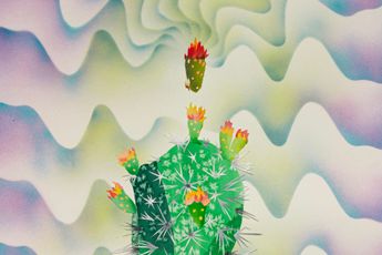 Francesca Gabbiani  Eddie Ruscha contemporary artist