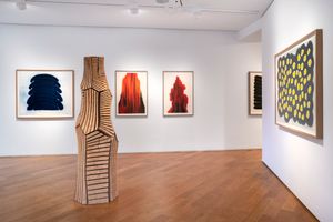 David Nash