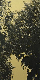 Constellation Fort Road 3 by Jason Wee contemporary artwork print