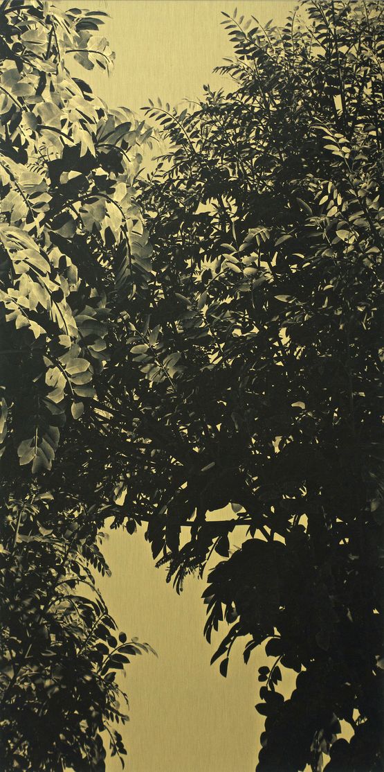 Constellation Fort Road 3 by Jason Wee contemporary artwork Print