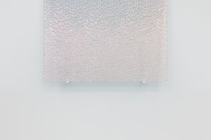 Ann Veronica Janssens