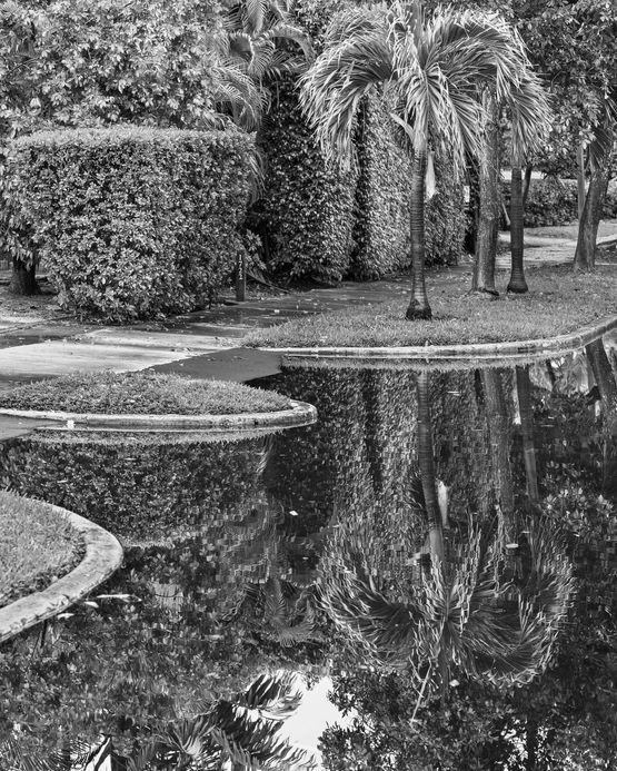 Flooded Street Miami Beach by Anastasia Samoylova contemporary artwork Print