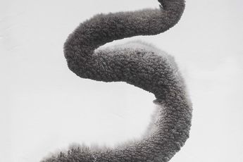 Ruben Fuentes contemporary artist
