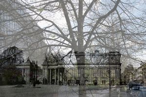 Michael Wesely