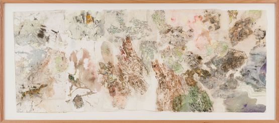 Mimesis - Leaf-tailed geckos on bark moss and lichen I by John Wolseley contemporary artwork Works on Paper