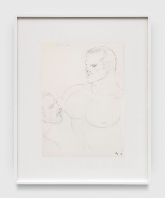Untitled by Tom of Finland contemporary artwork Drawing