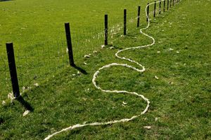 Andy Goldsworthy