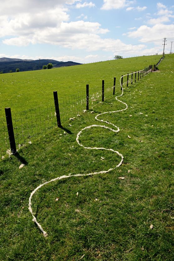 Barbed wire wool Dumfriesshire Scotland 29 May 2018 by Andy Goldsworthy contemporary artwork Photography