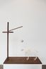 Memorial to the Last Cat on Christmas Island by Robert Zhao Renhui contemporary artwork Installation