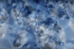 Thomas Ruff contemporary artist