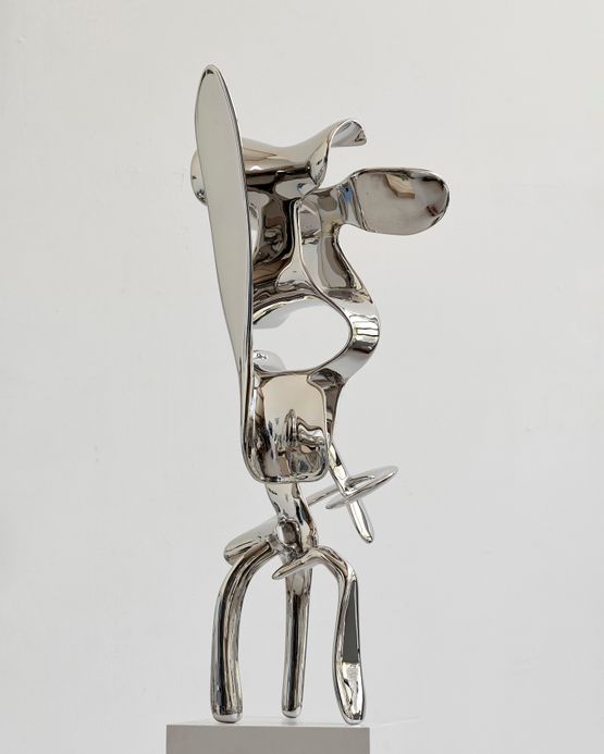 Incident Solo by Tony Cragg contemporary artwork Sculpture